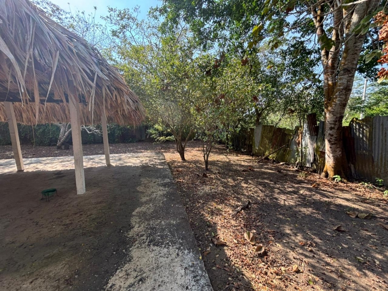 WhatsApp Image 2026-02-09 at 10.41.01 AM (2).jpeg